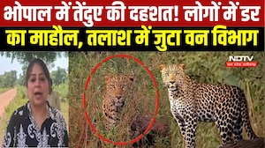 MP NEWS: Bhopal के Katara Hills में Leopard की दहशत, 25 KM तक सर्चिंग । Breaking News