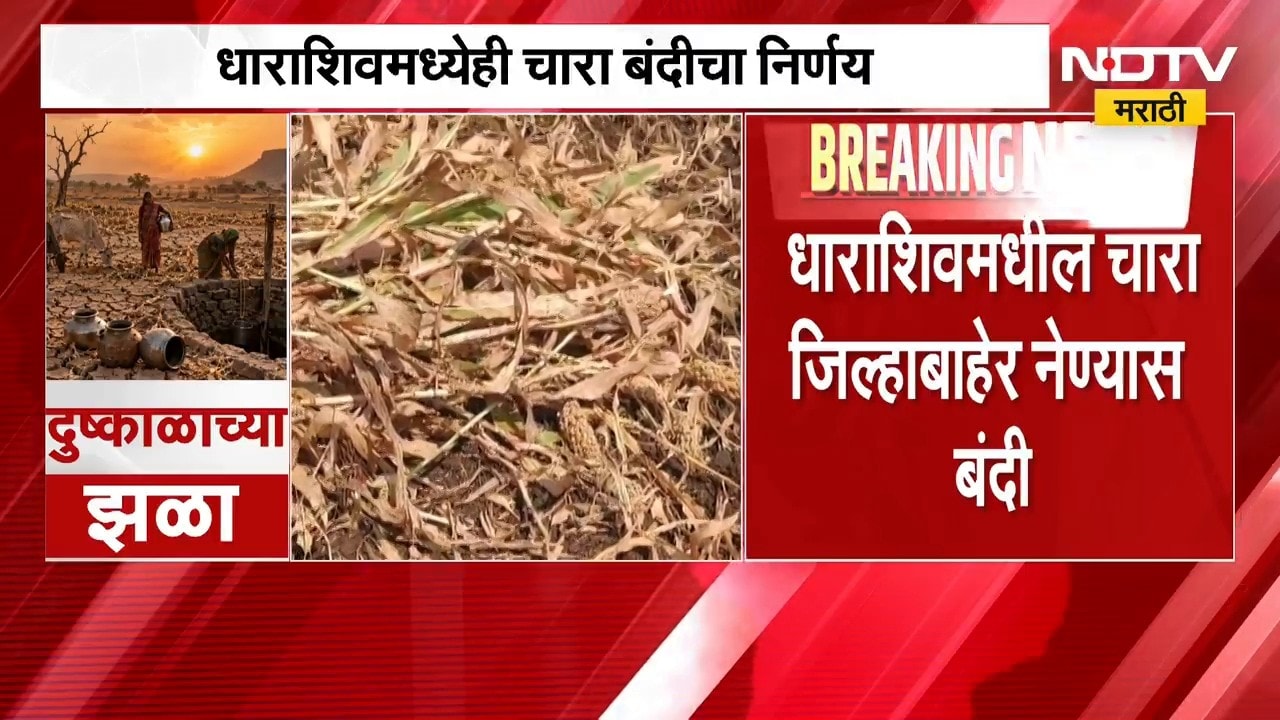 Dharashiv| चारा जिल्ह्याबाहेर नेण्यास बंदी, दुष्काळाच्या पार्श्वभूमीवर जिल्हाधिकाऱ्यांचा निर्णय