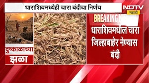 Dharashiv| चारा जिल्ह्याबाहेर नेण्यास बंदी, दुष्काळाच्या पार्श्वभूमीवर जिल्हाधिकाऱ्यांचा निर्णय