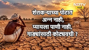 Special Report| महाराष्ट्रात दुष्काळ...गाड्यांवर उधळपट्टी कशासाठी? राज्यासमोरचं प्राधान्य नेमकं काय?