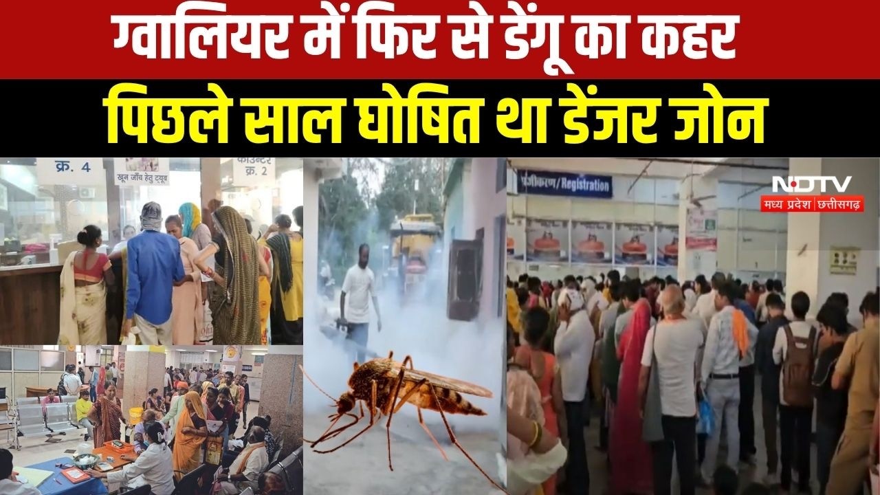 MP NEWS: Gwalior में Dengue 100 पार, अस्पतालों में बढ़ी मरीजों की भीड़ । Breaking News