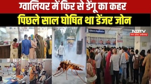 MP NEWS: Gwalior में Dengue 100 पार, अस्पतालों में बढ़ी मरीजों की भीड़ । Breaking News
