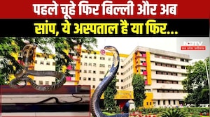 Indore News: MY Hospital की न्यू OPD में निकला सांप, Video आया सामने । Breaking News