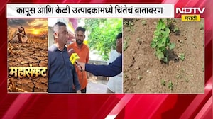 Jalgaon Drought| दुष्काळाची भीषणता अधिक गडद, अंतुर्ली गावातून 'NDTV मराठी'चा Ground Report