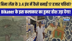 बिना लेंस के 3.4 इंच में कैसे बनाईं 17 हजार पत्तियां? Bikaner के इस कलाकार का हुनर होश उड़ा देगा!