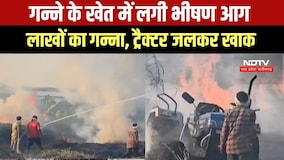Fire in sugarcane field: Burhanpur गन्ने के खेत में भड़की भीषण आग, धू-धू कर जला गन्ना, टैक्टर खाक