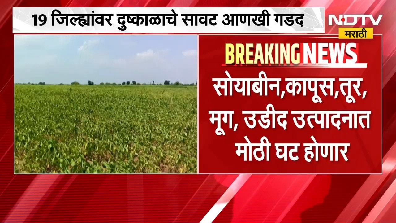 Maharashtra Drought । 19 जिल्ह्यांवर दुष्काळाचं सावट सोयाबीन, कापूस तूर मूग उडीद उत्पादनात घट होणार