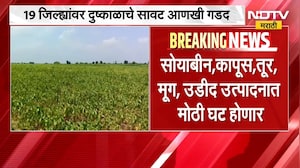 Maharashtra Drought । 19 जिल्ह्यांवर दुष्काळाचं सावट सोयाबीन, कापूस तूर मूग उडीद उत्पादनात घट होणार