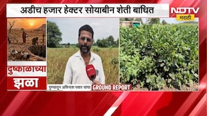 Drought looms over Kendur पुण्यातील केंदूरमध्ये दुष्काळाचं सावट, अडीच हजार हेक्टर सोयाबीन शेती बाधित