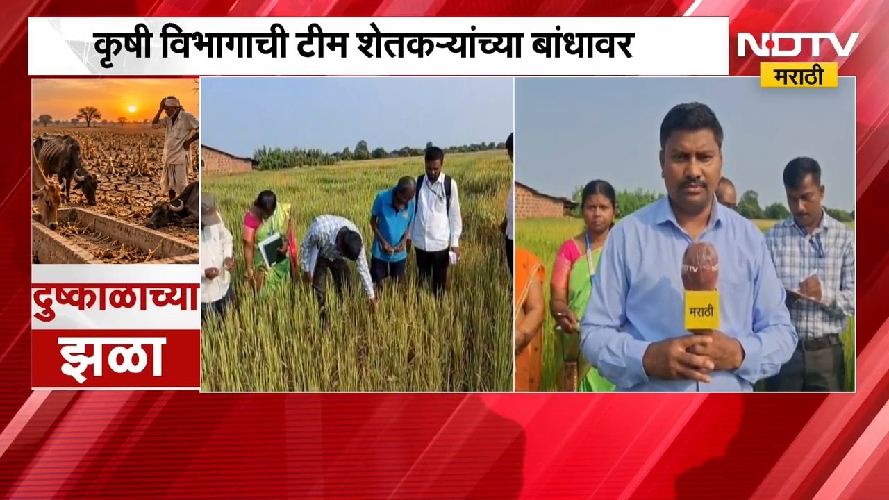 Ratnagiri | कोकणालाही दुष्काळाच्या झळा, पंचनाम्यांसाठी कृषी विभागाची टीम शेतकऱ्यांच्या बांधावर