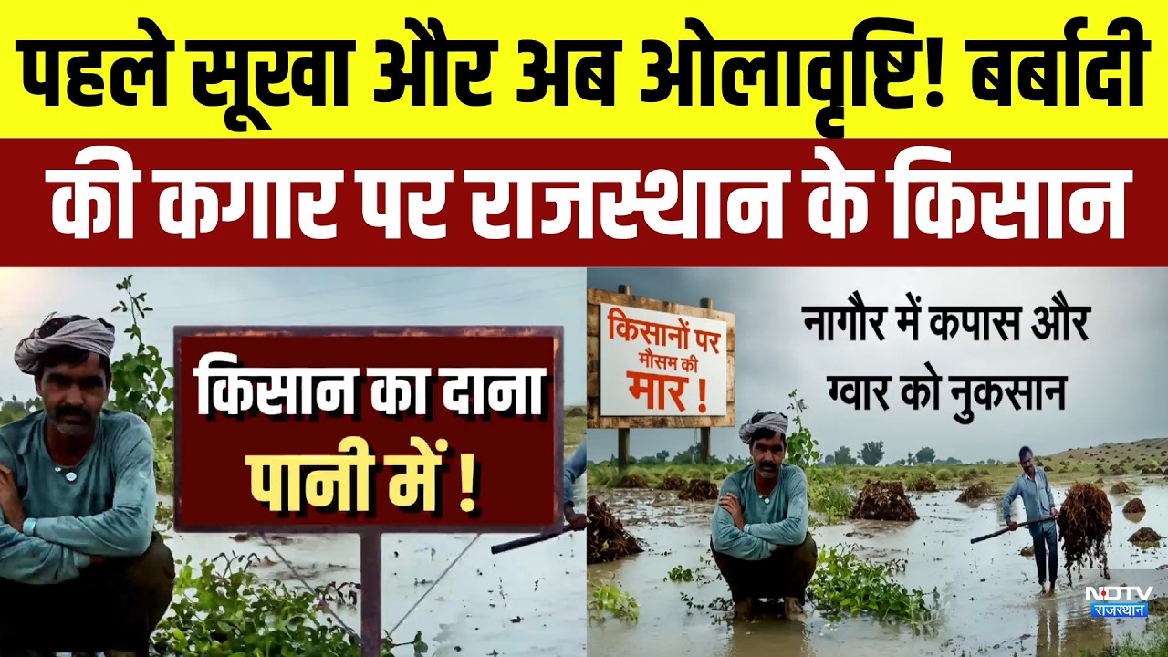 Heavy Rain और ओलावृष्टि ने तोड़ी अन्नदाताओं की कमर, फसलों की बर्बादी पर उठे सवाल! | Crop Damage