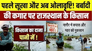 Heavy Rain और ओलावृष्टि ने तोड़ी अन्नदाताओं की कमर, फसलों की बर्बादी पर उठे सवाल! | Crop Damage