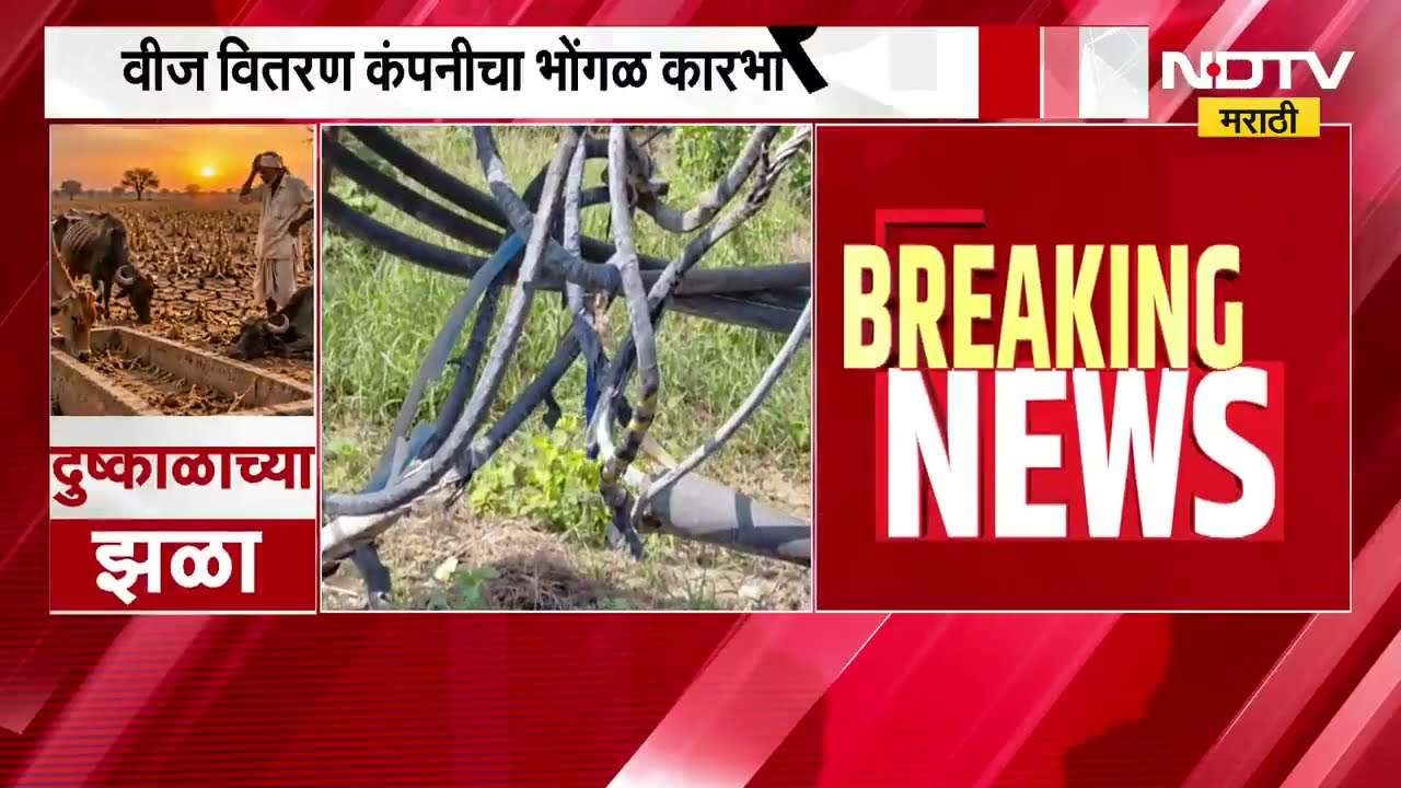 Amravati|दुष्काळाने सोयाबीन हिरावले, कापूसही धोक्यात;नादुरुस्त DP, शेतकऱ्यांना सिंचनासाठी वीज मिळेना