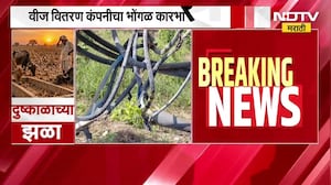 Amravati|दुष्काळाने सोयाबीन हिरावले, कापूसही धोक्यात;नादुरुस्त DP, शेतकऱ्यांना सिंचनासाठी वीज मिळेना