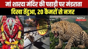 MP NEWS: Maihar में Maa Sharda Temple की पहाड़ी पर दिखा तेंदुआ । Breaking News