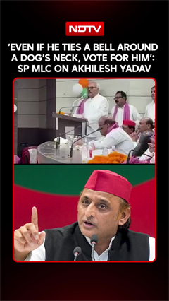 &lsquo;Even If He Ties A Bell Around A Dog&rsquo;s Neck, Vote For Him&rsquo;: SP MLC On Akhilesh Yadav