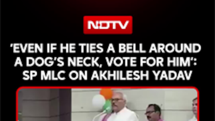 &lsquo;Even If He Ties A Bell Around A Dog&rsquo;s Neck, Vote For Him&rsquo;: SP MLC On Akhilesh Yadav