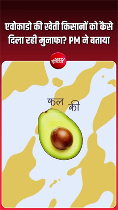 एवोकाडो की खेती किसानों को कैसे दिला रही मुनाफा? PM मोदी ने रील में बताया