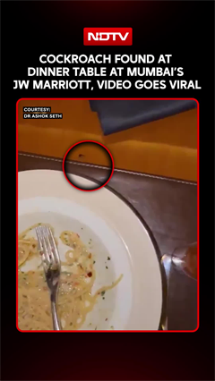 Mumbai Doctor Found Cockroach At Dinner Table In JW Marriot's Restaurant, Video Goes Viral