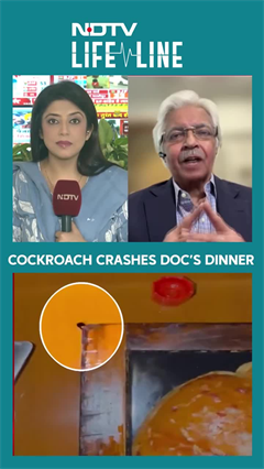 Cockroach Spotted at JW Marriott Mumbai Dinner Table, Doctor Raises Hygiene Concerns |