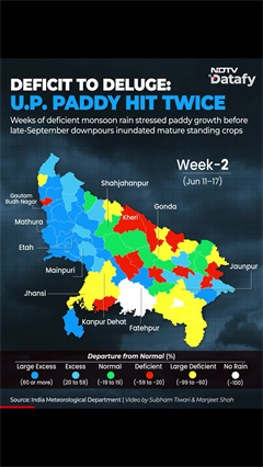 Video: Cyclone Arnab Deals Another Blow to Rain-Stressed Rice Crop | Datafy