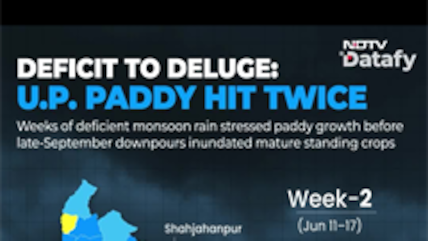 Cyclone Arnab Deals Another Blow to Rain-Stressed Rice Crop | Datafy