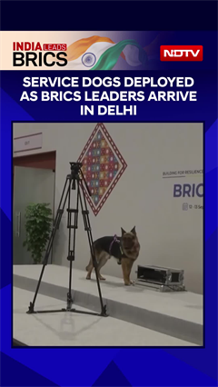 BRICS Summit 2026: Service Dogs On High Alert Ahead Of Leader Meetings