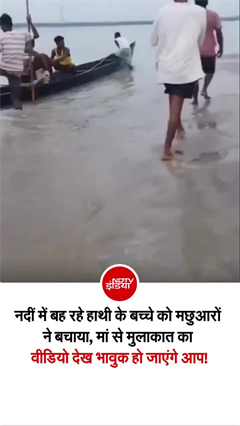 Video: हाथी के बच्‍चे के लिए फरिश्‍ते बने मछुआरे, फिर मां से मिलाया