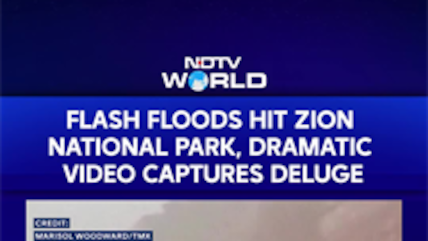 Flash Flood Fury: Muddy Waterfall Cascades Down Zion Cliff