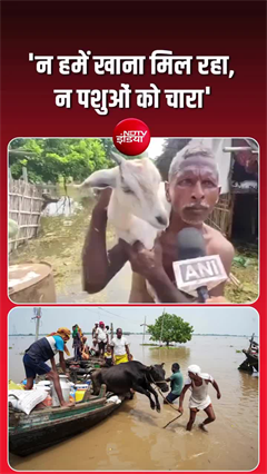 कटिहार में बाढ़ का कहर, घर डूबे-चारा खत्म; राहत का इंतजार कर रहे लोग