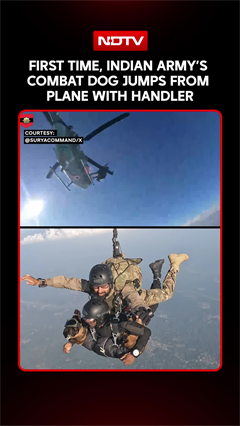 Video: Indian Army Combat Dog Makes First-Ever Parachute Jump With Handler