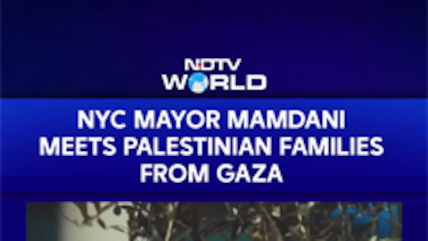 NYC Mayor Mamdani Plants Olive Tree With Gaza Families