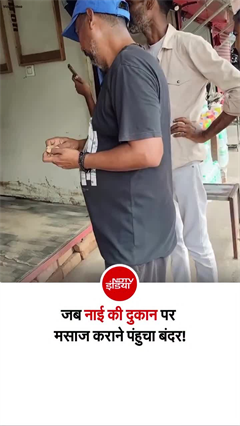 बंदर ने नई की दुकान में कराई मसाज! वीडियो हो रहा वायरल