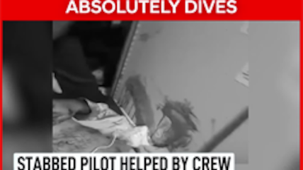 flydubai Hero Pilot Is Indian, Fought Off Colleague Who Stabbed Him: Sources