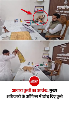 महाराष्ट्र के निफाड में आवारा कुत्तों पर अनोखा प्रदर्शन...