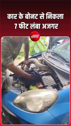 कार के बोनट से निकला 7 फीट का अजगर, ड्राइवर के उड़ गए होश!