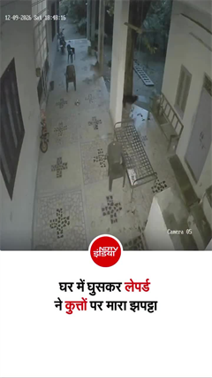 राजस्&zwj;थान में घर में घुसा लेपर्ड, डॉग्&zwj;स पर बोल दिया हमला!