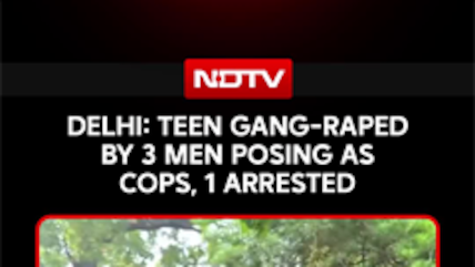 Delhi News | Teen Gang-Raped By 3 Men Posing As Cops In South Delhi Park