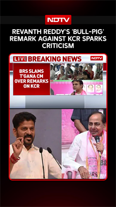 Video: Telangana CM Revanth Reddy's 'Bull-Pig' Remark Against KCR Draws Sharp BRS Criticism