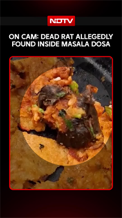 Mumbai News | Dead Rat Allegedly Found Inside Masala Dosa At Restaurant