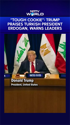 "Tough Cookie": Trump Praises Turkish President Erdogan, Warns Leaders