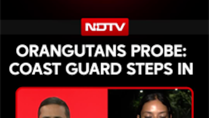 Orangutans In Odisha Probe: Coast Guard Steps In