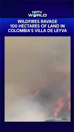 Wildfires Ravage 100 hectares Of Land In Colombia's Villa de Leyva