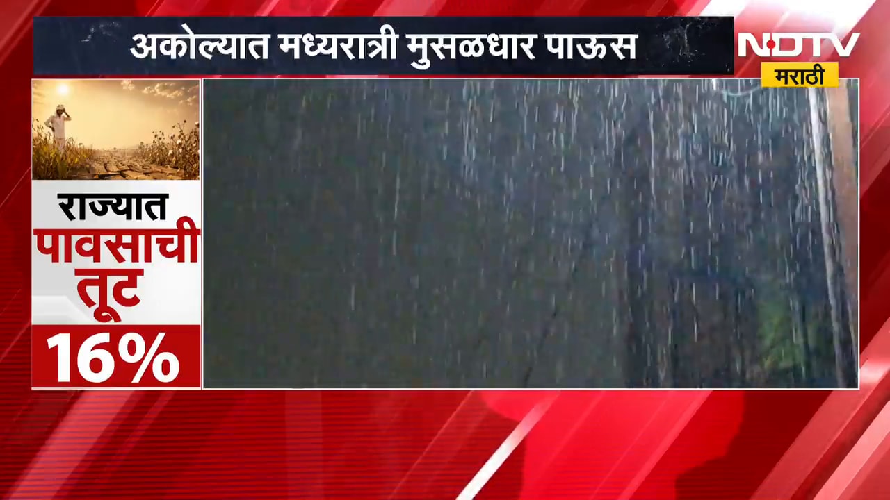 Akola Rains | मध्यरात्री मुसळधार पाऊस, अकोल्यात कपाशी आणि तूर पिकांना मिळणार संजीवनी ।  NDTV मराठी