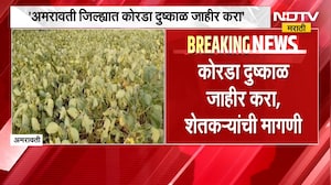 Amravati News| अमरावती जिल्ह्यात कोरडा दुष्काळ जाहीर करा, शेतकऱ्यांची मागणी
