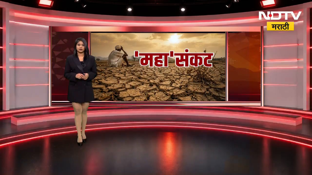 Amravati जिल्ह्यात पावसाने दडी मारल्याने सोयाबीनचं पीक करपलं, कोरडा दुष्काळ जाहीर करण्याची मागणी