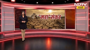 Amravati जिल्ह्यात पावसाने दडी मारल्याने सोयाबीनचं पीक करपलं, कोरडा दुष्काळ जाहीर करण्याची मागणी