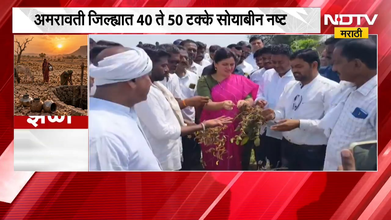 Amravati Drought | नवनीत राणा अमरावती जिल्ह्यातील नुकसानग्रस्त शेतीच्या पाहणी दौऱ्यावर | NDTV