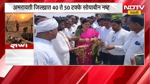 Amravati Drought | नवनीत राणा अमरावती जिल्ह्यातील नुकसानग्रस्त शेतीच्या पाहणी दौऱ्यावर | NDTV