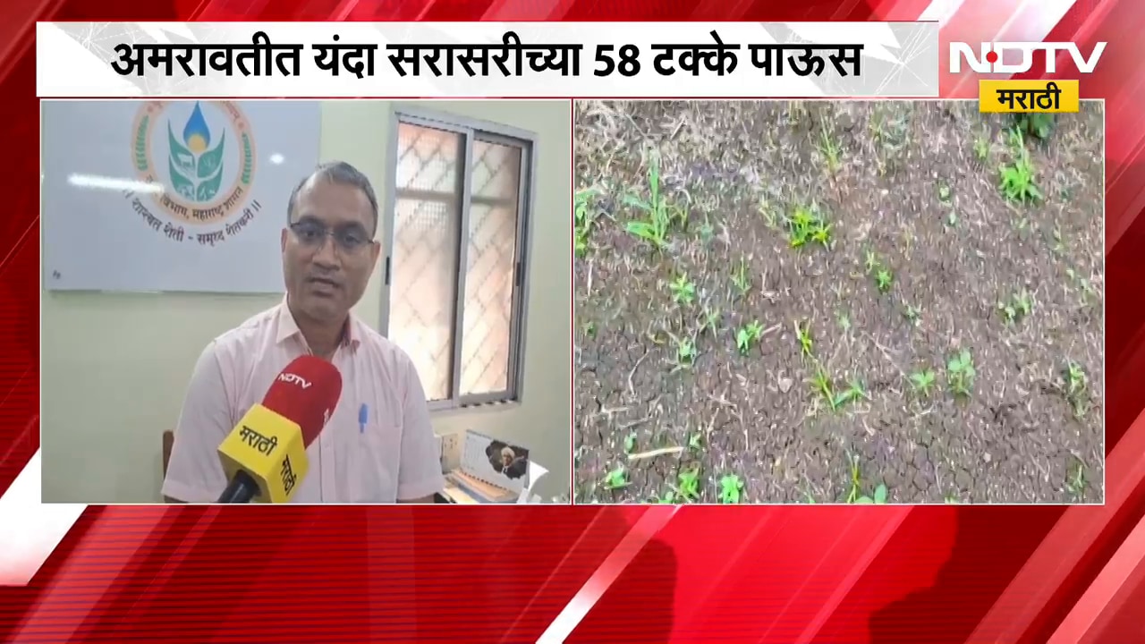 अमरावती जिल्ह्यातील सर्वच तालुक्यात पावसाचा खंड, 40 दिवसांपासून पाऊस गायब, सोयाबीन पिकाला मोठा फटका